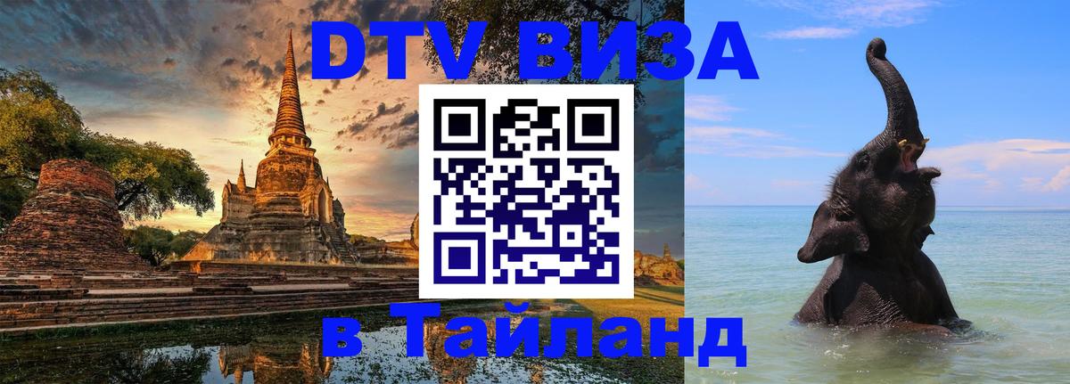 Оформление DTV визы под ключ: стоимость и тарифы, только загранпаспорт - 08.01.2026 